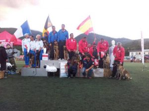 la herencia canina determina que una raza, y no otras, sean las adecuadas para cada finalidad