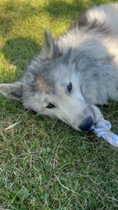 WhatsApp Image 2024-09-20 at 16.58.45