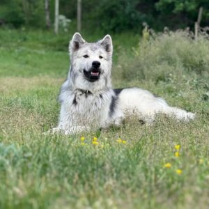 WhatsApp Image 2024-09-20 at 16.58.45 (3)