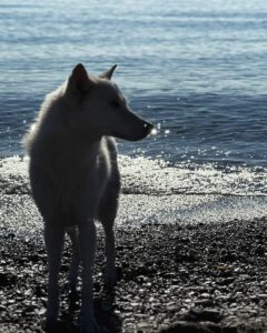 WhatsApp Image 2024-09-20 at 17.16.15 (1)