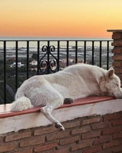 WhatsApp Image 2024-09-20 at 17.16.15