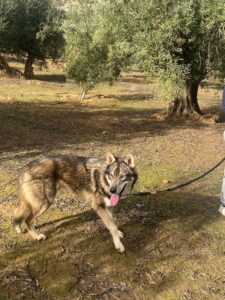 WhatsApp Image 2024-09-20 at 17.16.16 (2)