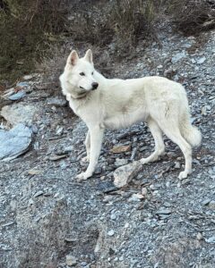 WhatsApp Image 2024-09-20 at 17.16.16