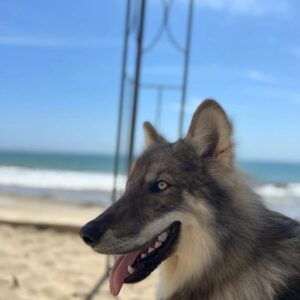 WhatsApp Image 2024-09-20 at 17.16.17