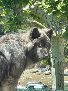 WhatsApp Image 2025-06-06 at 21.51.51