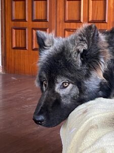 WhatsApp Image 2025-06-09 at 13.02.04