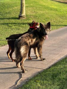 WhatsApp Image 2025-10-28 at 08.11.56