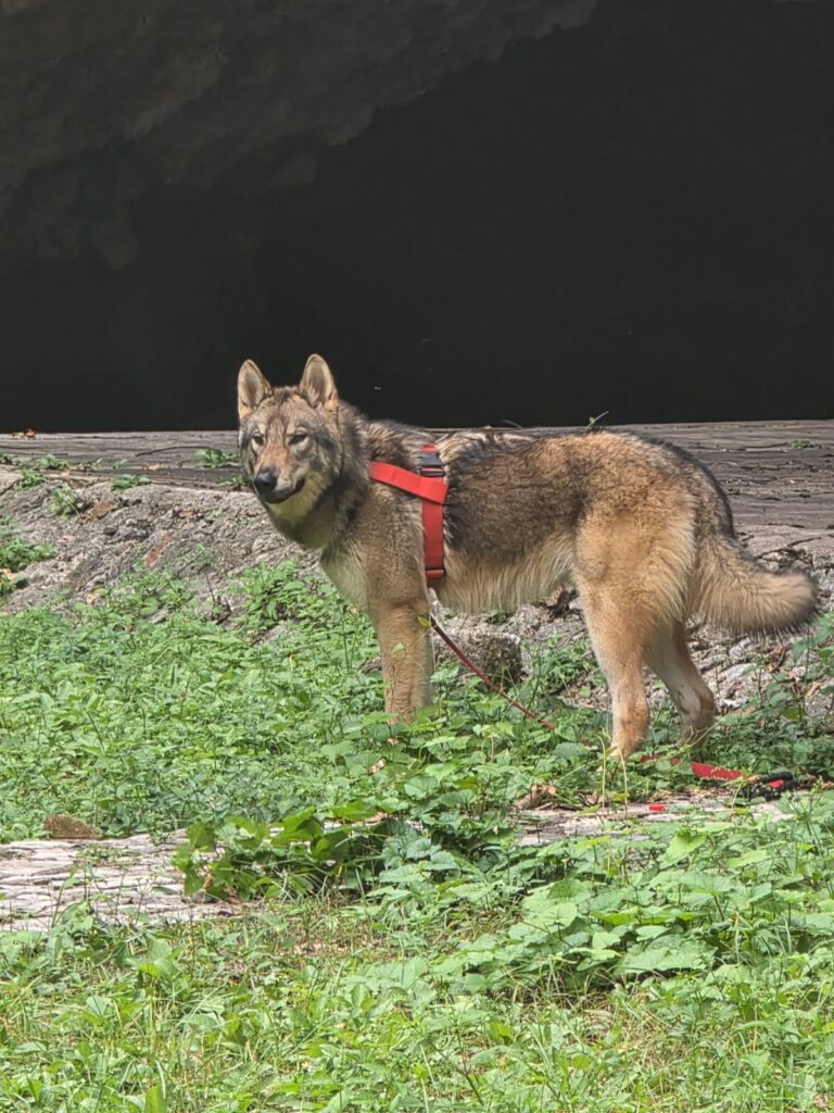 WhatsApp Image 2025-10-28 at 10.55.34 (1)