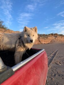 WhatsApp Image 2025-11-27 at 12.36.02 (2)