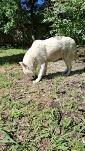 WhatsApp Image 2025-12-12 at 13.48.44